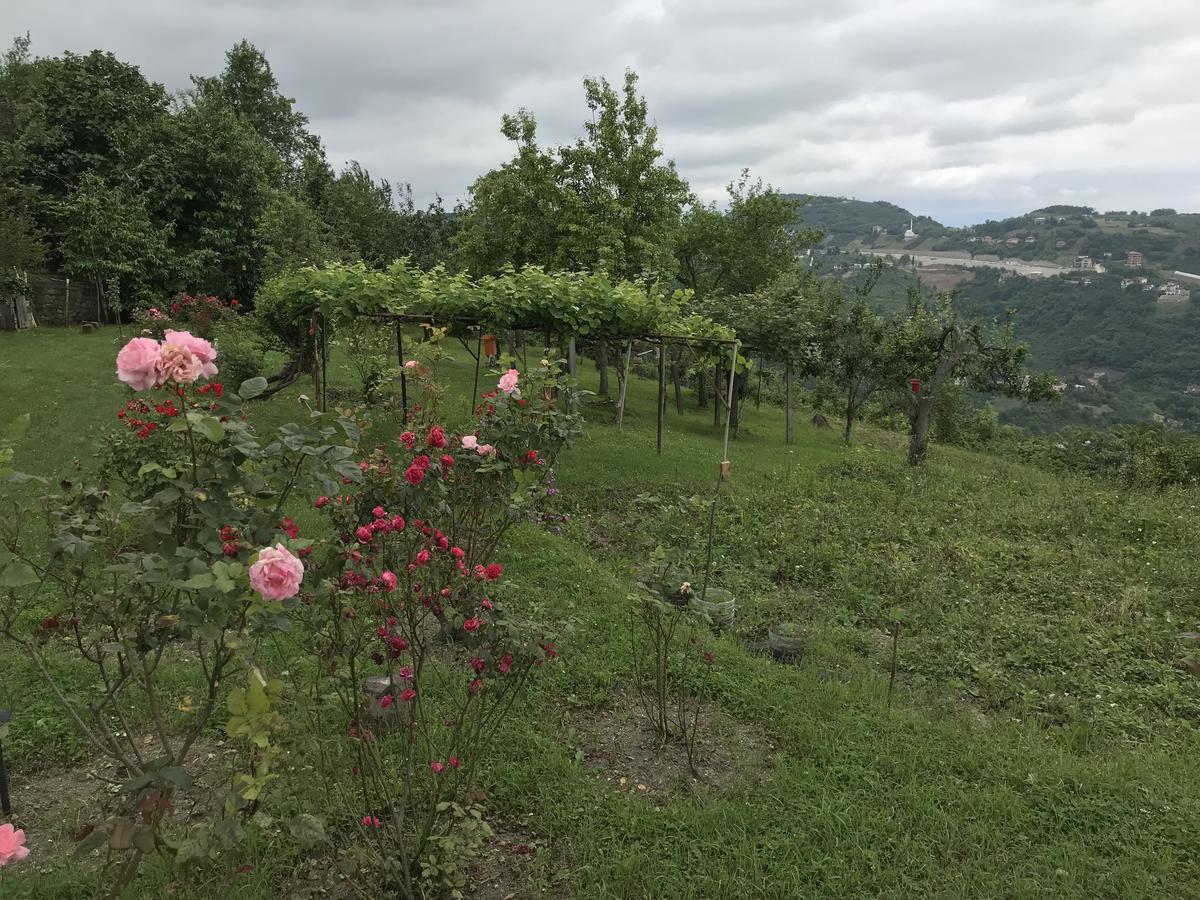 Sea & Nature Villa Hisar Trabzon Dış mekan fotoğraf