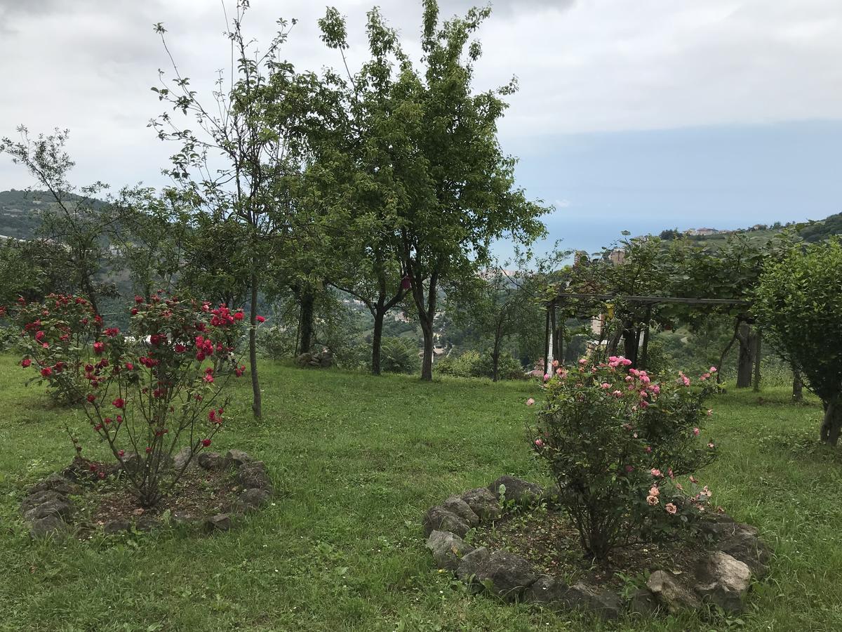Sea & Nature Villa Hisar Trabzon Dış mekan fotoğraf