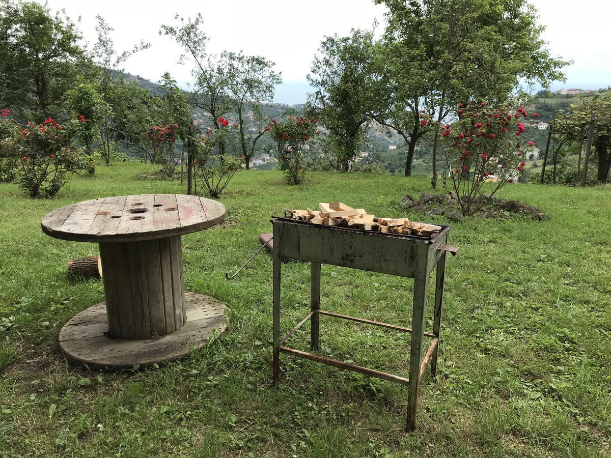 Sea & Nature Villa Hisar Trabzon Dış mekan fotoğraf