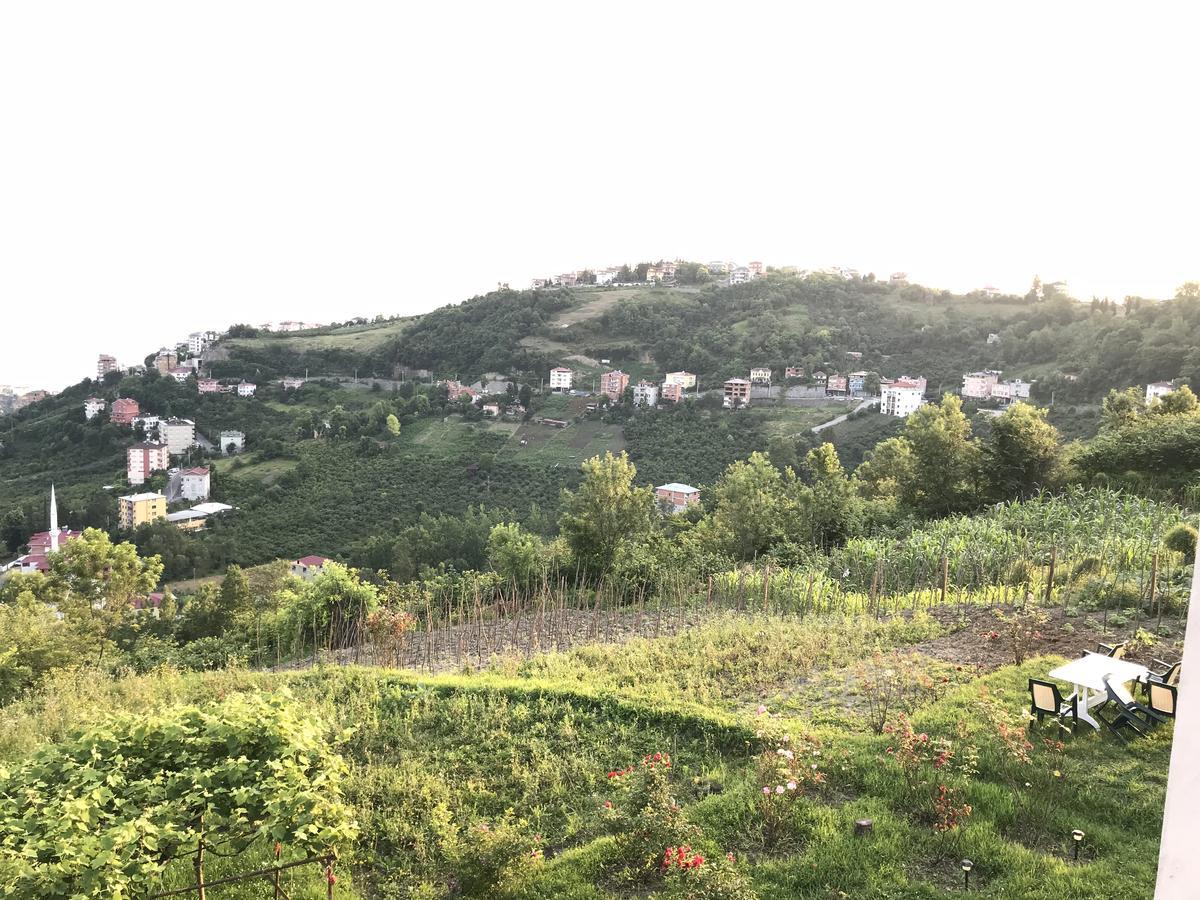 Sea & Nature Villa Hisar Trabzon Dış mekan fotoğraf