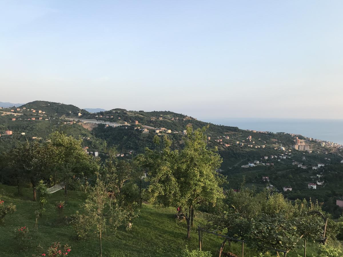 Sea & Nature Villa Hisar Trabzon Dış mekan fotoğraf
