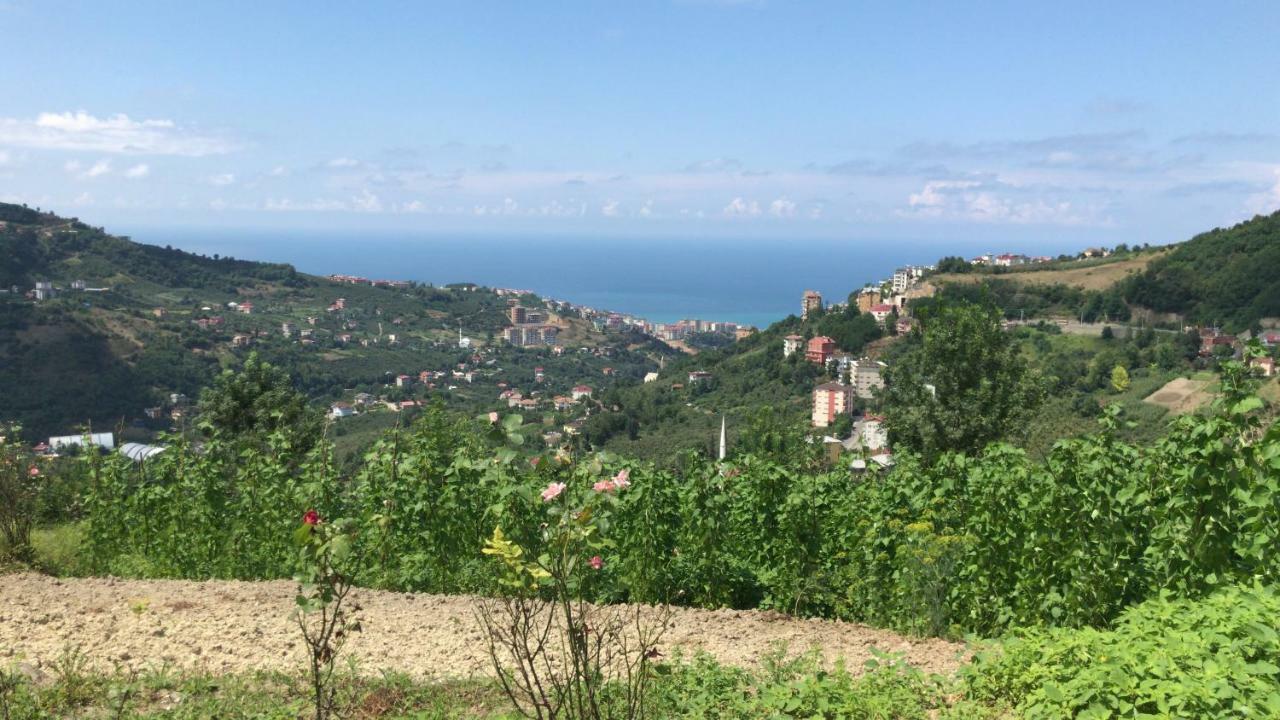 Sea & Nature Villa Hisar Trabzon Dış mekan fotoğraf