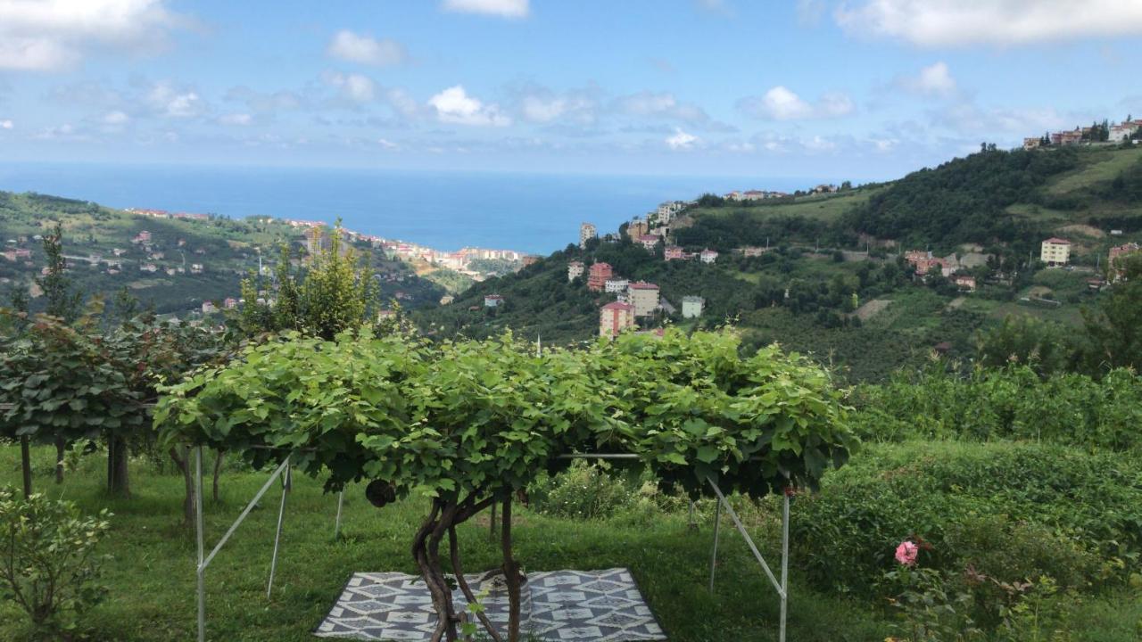Sea & Nature Villa Hisar Trabzon Dış mekan fotoğraf