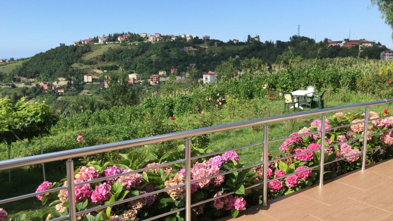 Sea & Nature Villa Hisar Trabzon Dış mekan fotoğraf